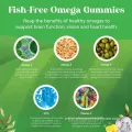 Kids Omega DHA Gummies for Brain and Eye Health